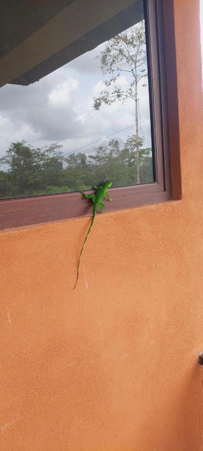 Green Leaf House La Fortuna Esterno foto